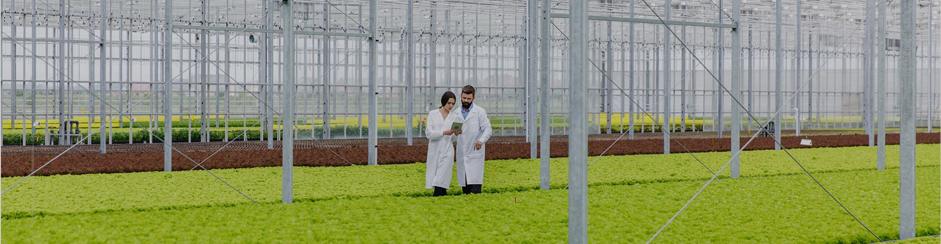 Co-polymer based Modular Rain Water Harvesting at various schools under Sarv Siksha Abhiyaan, Govt. of Gujarat View Project
